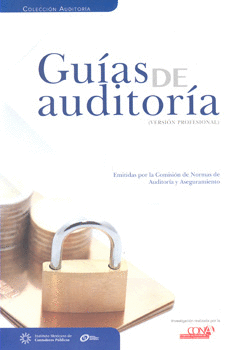 GUÍAS DE AUDITORÍA VERSIÓN PROFESIONAL