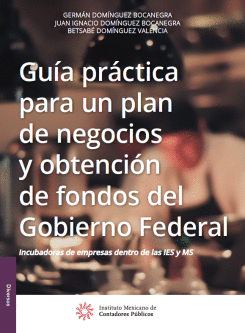 GUIA PRACTICA PARA UN PLAN DE NEGOCIOS Y OBTENCION DE FONDOS DEL GOBIERNO FEDERAL