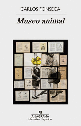 MUSEO ANIMAL