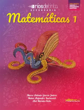 MATEMATICAS 1 NEM SERIE HIBRIDA