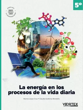 LA ENERGIA EN LOS PROCESOS DE LA VIDA DIARIA