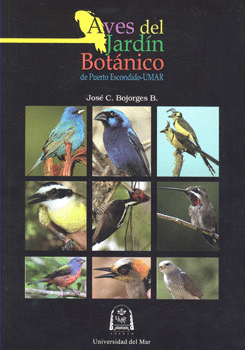 AVES DEL JARDIN BOTANICO DE PUERTO ESCONDIDO UMAR