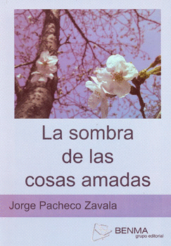 LA SOMBRA DE LAS COSAS AMADAS