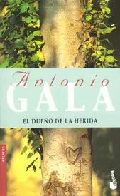 EL DUEÑO DE LA HERIDA