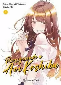 PERSIGUIENDO A AOI KOSHIBA Nº 02/04