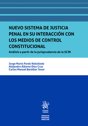 NUEVO SISTEMA DE JUSTICIA PENAL EN SU INTERACCION CON LOS MEDIOS DE CONTROL CONS