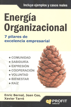 ENERGÍA ORGANIZACIONAL