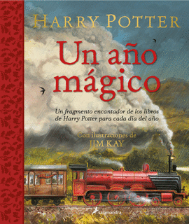 UN AÑO MAGICO (HARRY POTTER) ( HARRY POTTER )