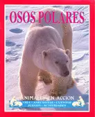 OSOS POLARES ANIMALES EN ACCION