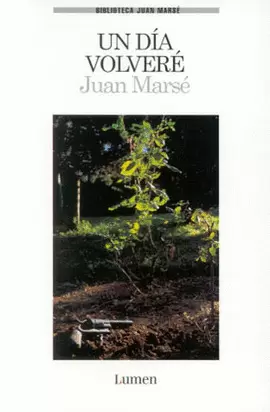 UN DIA VOLVERE