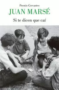 SI TE DICEN QUE CAÍ