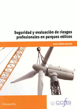 SEGURIDAD Y EVALUACIÓN DE RIESGOS PROFESIONALES EN  PARQUES EÓLICOS