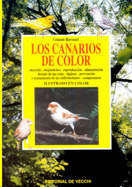 CANARIOS DE COLOR, LOS (93)