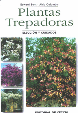 PLANTAS TREPADORAS