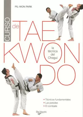 CURSO DE TAE KWON DO