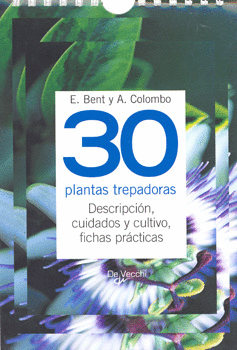 30 PLANTAS TREPADORAS DESCRIPCION CUIDADOS Y CULTIVO