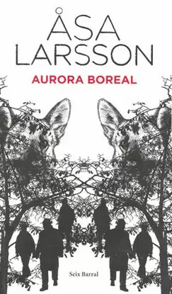 AURORA BOREAL