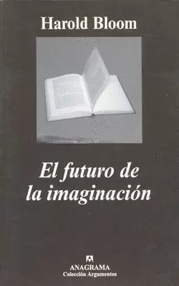 FUTURO DE LA IMAGINACIÓN, EL