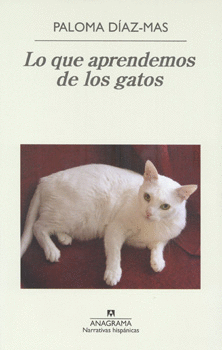 LO QUE APRENDEMOS DE LOS GATOS