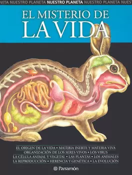 EL MISTERIO DE LA VIDA