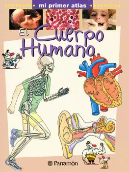 EL CUERPO HUMANO