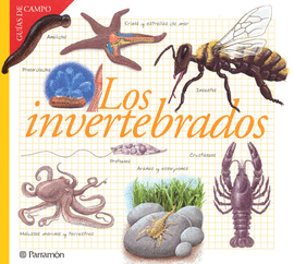 LOS INVERTEBRADOS