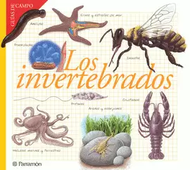 LOS INVERTEBRADOS