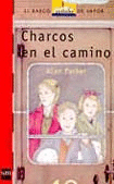 CHARCOS EN EL CAMINO