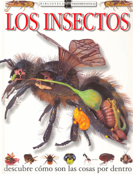 LOS INSECTOS