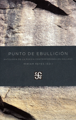 PUNTO DE EBULLICION