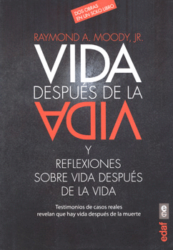 VIDA DESPUÉS DE LA VIDA Y REFLEXIONES SOBRE LA VIDA DESPUÉS DE LA VIDA