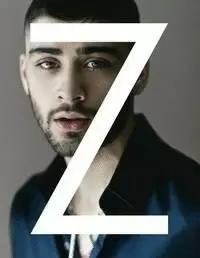 ZAYN