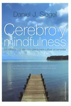 CEREBRO Y MINDFULNESS