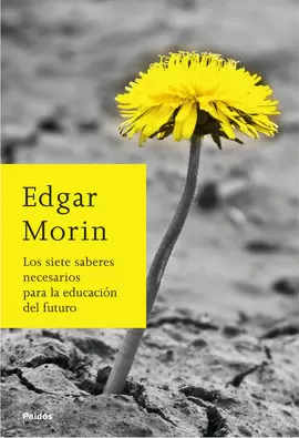 SIETE SABERES NECESARIOS PARA LA EDUCACION DEL FUTURO, LOS