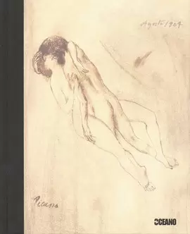 CUADERNOS EROTICOS. PICASSO