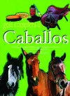 GUIA COMPLETA DE CABALLOS