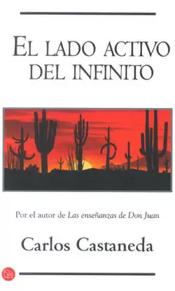 LADO ACTIVO DEL INFINITO, EL