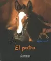 POTRO, EL
