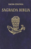 SAGRADA BIBLIA: VERSION DIRECTA DE LAS LENGUAS ORIGINALES. [BOLSILLO PASTA DURA]