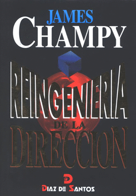 REINGENIERIA DE LA DIRECCION