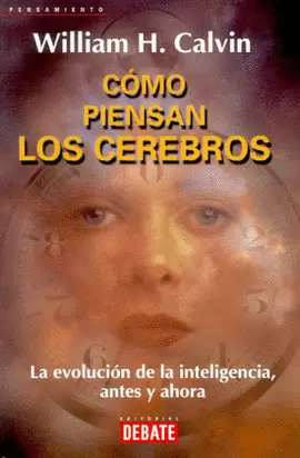 COMO PIENSAN LOS CEREBROS