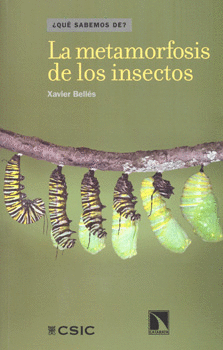 LA METAMORFOSIS DE LOS INSECTOS