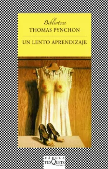 UN LENTO APRENDIZAJE