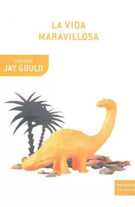 VIDA MARAVILLOSA, LA