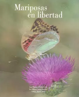 MARIPOSAS DE LIBERTAD