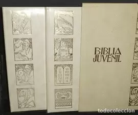 BIBLIA JUVENIL ANTIGUO TESTAMENTO