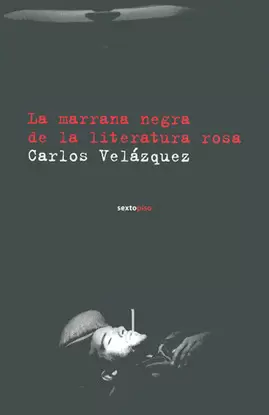 LA MARRANA NEGRA DE LA LITERATURA ROSA