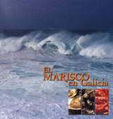 EL MARISCO EN GALICIA