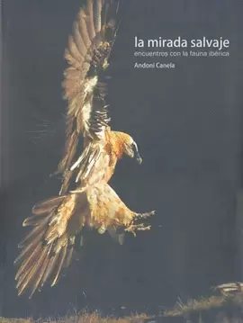 LA MIRADA SALVAJE ENCUENTROS CON LA FAUNA IBERICA