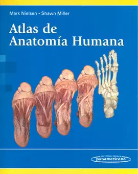 ATLAS DE ANATOMÍA HUMANA
